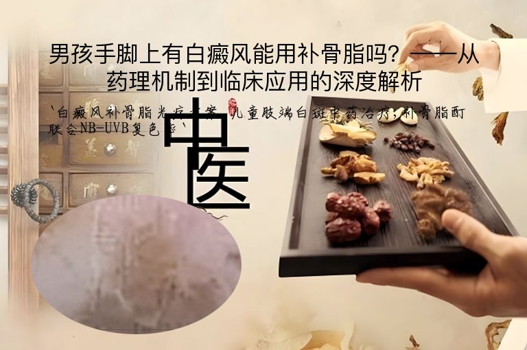 男孩手脚上有白癜风能用补骨脂吗?——从药理机制到临床应用的深度解析