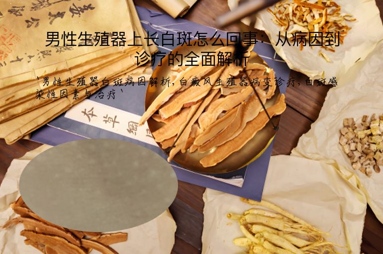 男性生殖器上长白斑怎么回事:从病因到诊疗的全面解析