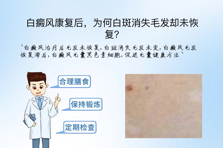 白癜风康复后，为何白斑消失毛发却未恢复？”