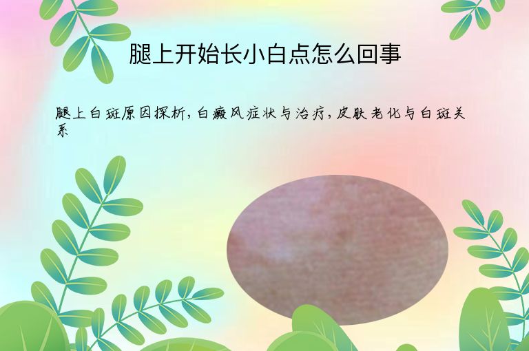 腿上开始长小白点怎么回事”