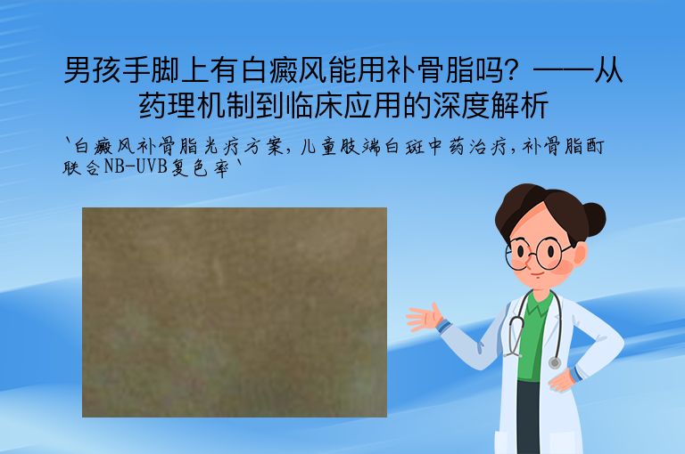 男孩手脚上有白癜风能用补骨脂吗？——从药理机制到临床应用的深度解析