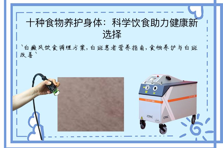 十种食物养护身体:科学饮食助力健康新选择