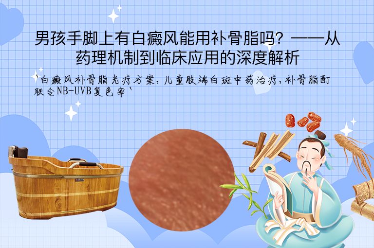 男孩手脚上有白癜风能用补骨脂吗?——从药理机制到临床应用的深度解析