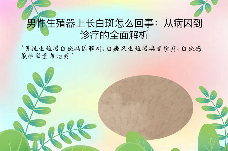 男性生殖器上长白斑怎么回事:从病因到诊疗的全面解析