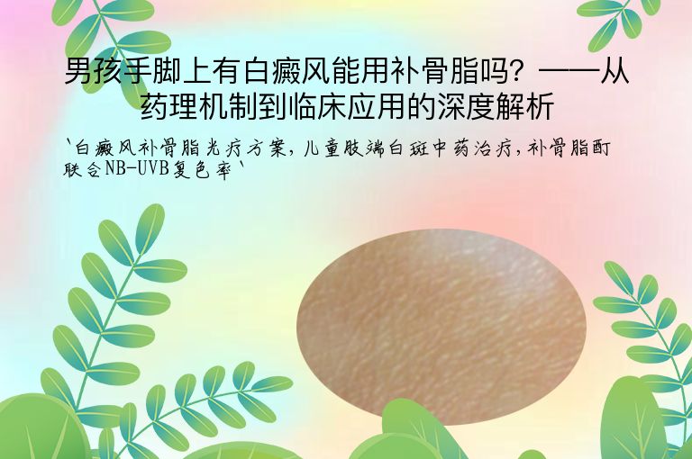 男孩手脚上有白癜风能用补骨脂吗?——从药理机制到临床应用的深度解析