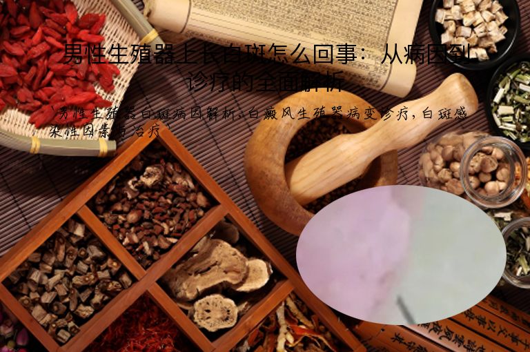 男性生殖器上长白斑怎么回事：从病因到诊疗的全面解析