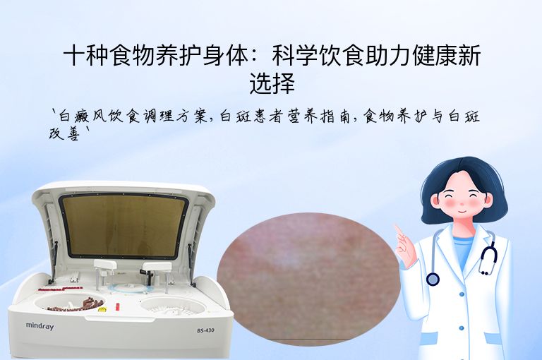 十种食物养护身体:科学饮食助力健康新选择