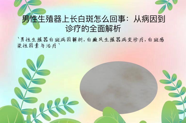 男性生殖器上长白斑怎么回事：从病因到诊疗的全面解析