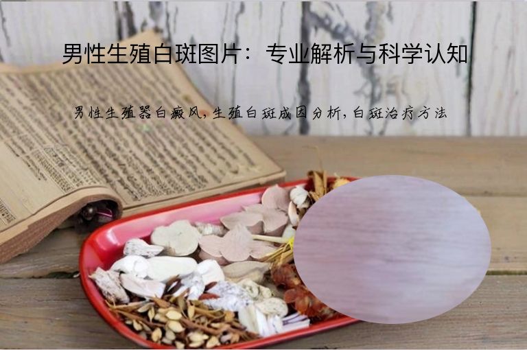 https://www.bdfsjzyy.com/d/file/p/5501d0a8e86e2532a67ea478fc6455e5.jpeg