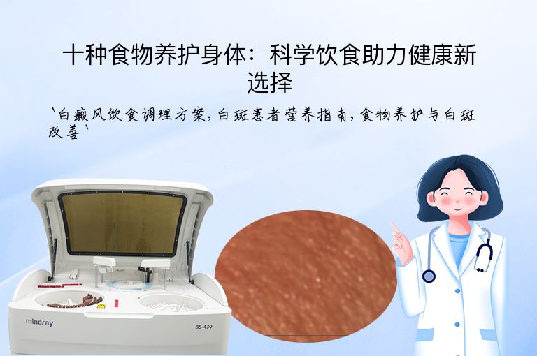 十种食物养护身体:科学饮食助力健康新选择