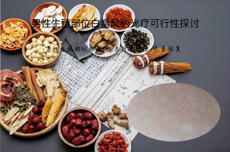 男性生殖部位白癜风的光疗可行性探讨”