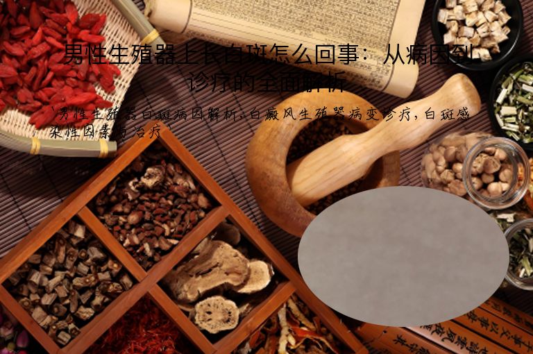 男性生殖器上长白斑怎么回事：从病因到诊疗的全面解析