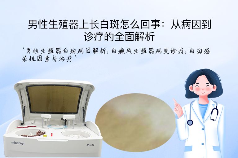 男性生殖器上长白斑怎么回事:从病因到诊疗的全面解析