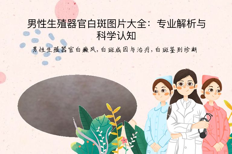 男性生殖器官白斑图片大全：专业解析与科学认知”