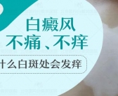 白癜风分布面积小用什么方法能快速治好”