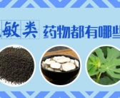 中药能调理治疗白癜风不复发吗”