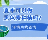 后背大块白癜风中医能治好吗”