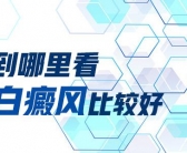 后背大块白癜风用什么药治好”
