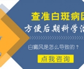 手上的小白斑图片什么原因引起的”